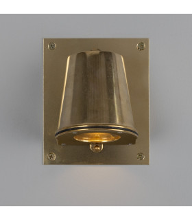 Wade Outdoor Wall Light With Back Plate Raw Brass IP54-2