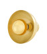 Maua 20cm Wall Light Polished Brass-4