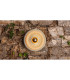 Eclipse Wall Light Satin Brass-5