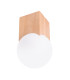 Solis Minimalist Ceiling Lamp Natural Wood-1