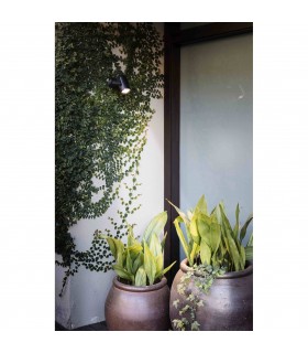 Outdoor LED Spotlight Black 14W 3000K IP65 - 2