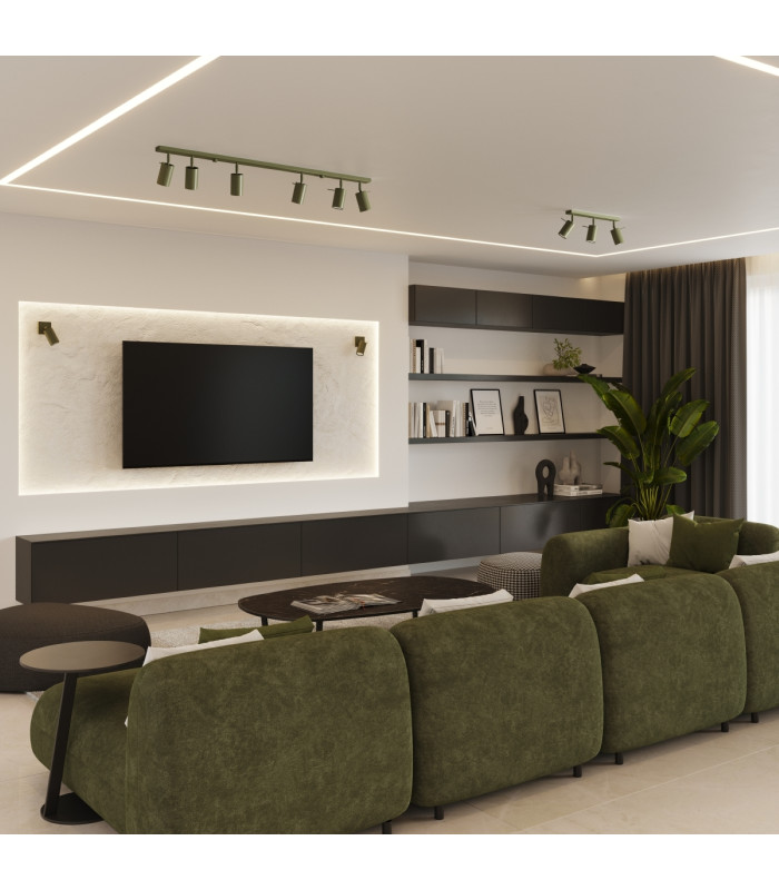Ring Modern Twin Ceiling Lamp 2 Olive Green-12