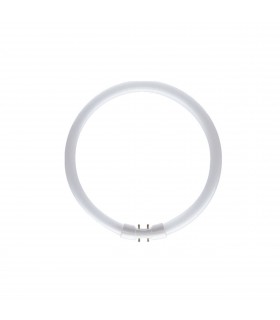 Bulb -  T5 Circular 22W 3000K White Glass - 1