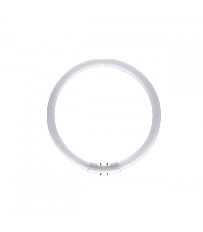 Bulb -  T5 Circular 22W 3000K White Glass - 1