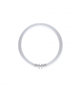 Bulb -  T5 Circular 22W 3000K White Glass - 2