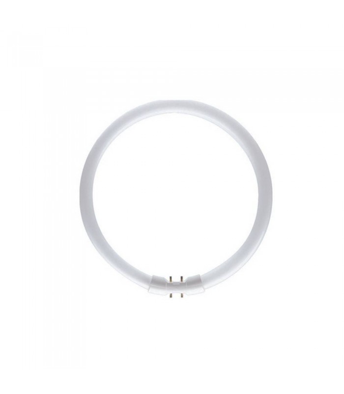Bulb -  T5 Circular 22W 3000K White Glass - 2
