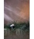 Spike Spot 12V LED Outdoor Spotlight Textured Grey IP65 - 2