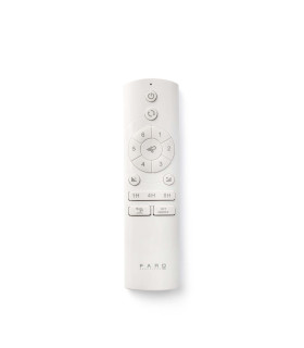 White remote control
