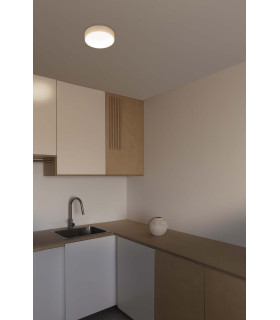 Aris 20W Cylindrical Ceiling Light White 2700K-2