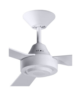 Bayside Calypso AC 122cm Ceiling Fan White Wall Control-2