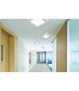 Simplex LED Flush Ceiling Light Neutral White 4000K-2