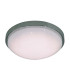 Cantania Dimmable LED Flush Ceiling Light Chrome 3000-6000K Remote Control-1