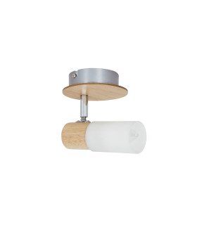 Todtnau Single Spotlight Nature 1xE14-1