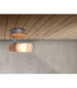 Todtnau Single Spotlight Nature 1xE14-2