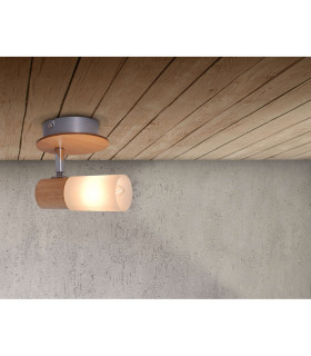 Todtnau Single Spotlight Nature 1xE14-2