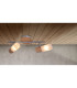 Todtnau Twin Ceiling Spotlight Nature 2xE14-2