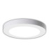 Bonus LED CCT Flush Ceiling Light White 3000-6000K-4