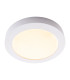 Komplex LED Round Flush Ceiling Light White 3000-6500K-6