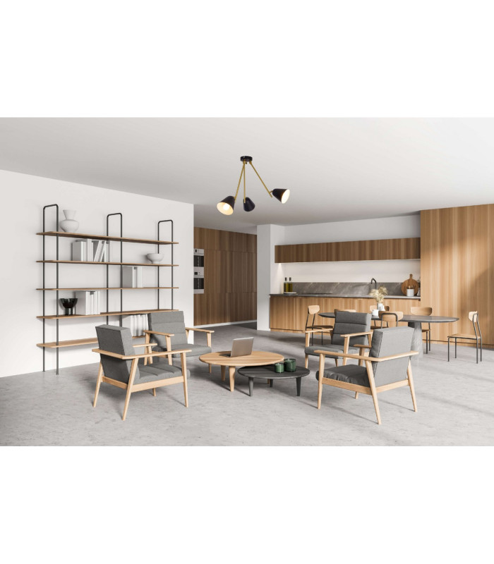 Triton Multi Arm Semi Flush Ceiling Lamp Black 3xE27-3