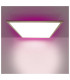 Panel Dimmable LED CCT Panel Multi Colour 3000-7000K-6