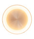Multo Dimmable CCT Integrated LED Semi Flush Ceiling Light Satin Nickel 2650-6520K Remote Control-16