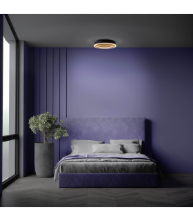 Arany Dimmable Integrated LED Semi Flush Ceiling Light Black 2957K-2
