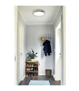 Borneo Dimmable LED Flush Ceiling Light Grey Remote Control-2