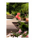 Blume LED Solar Outdoor Spike Rosé/Salmon IP44-3