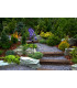 Viola LED Solar Outdoor Spike Violet Dawn to Dusk Sensor 5800-6500K IP44-3