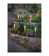 Multi Set of 5 LED Solar Outdoor Spike Multi Colour Dawn to Dusk Sensor 5500K IP44-2