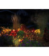 Naeve LED Green 4000K IP44-6