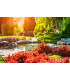 Flamme LED Solar Outdoor Spike Bronze Dawn to Dusk Sensor IP44-6
