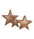 Weihnachtsstern Set of 3 LED Brown 3000K IP44-1