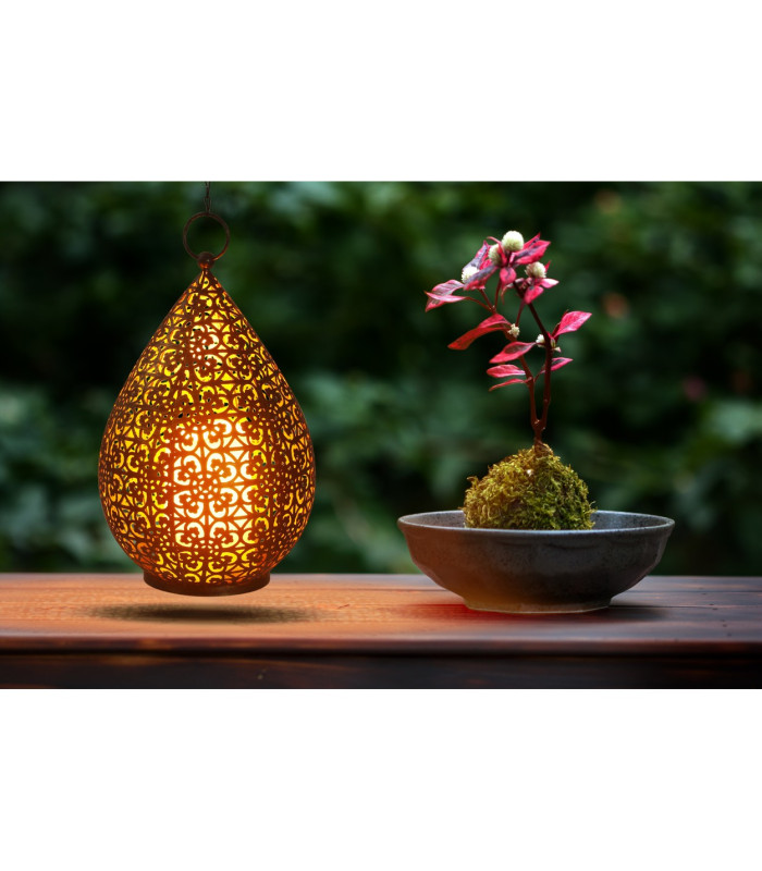Remora LED Outdoor Lighting Gold Battery Powered 2700K IP44 Timer Function-3