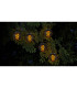 Fogo LED Solar Black Dawn to Dusk Sensor 3000K IP44-3