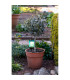 Mila Set of 2 LED Solar Outdoor Lighting Multi Colour Dawn to Dusk Sensor 2800-3200K IP44-3