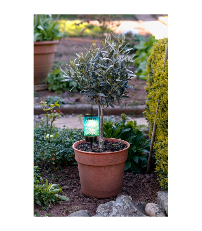 Mila Set of 2 LED Solar Outdoor Lighting Multi Colour Dawn to Dusk Sensor 2800-3200K IP44-3