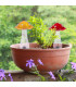 Mantar Set of 2 Solar Outdoor Lighting Multi Colour Dawn to Dusk Sensor 5000-5500K IP44-3