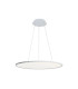 Naeve Dimmable LED Pendant Ceiling Light Neutral White 4000K-2