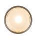 Serena Surface Mounted Downlight Nickel Matt Clear Glass Shade LED 3000K-3