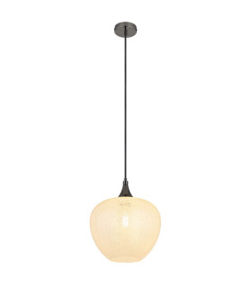 Maxy 29cm Dome Pendant Ceiling Light Gunmetal Clear Glass Shade 1x E27-1