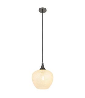 Maxy 24cm Dome Pendant Ceiling Light Gunmetal Clear Glass Shade 1x E27-1