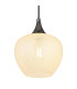 Maxy 24cm Dome Pendant Ceiling Light Gunmetal Clear Glass Shade 1x E27-3