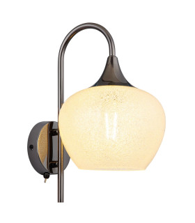 Maxy Dome Wall Lamp Gunmetal Clear Glass Shade 1x E27-1