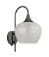 Maxy Dome Wall Lamp Gunmetal Clear Glass Shade 1x E27-2