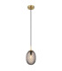 Devin Globe Pendant Ceiling Light Gold Colours Matt Smoke Glass Shade 1x E14-1