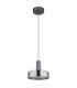 Grant Pendant Ceiling Light Grey Matt Smoke Glass Shade LED 3000K-2