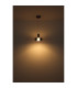 Grant Pendant Ceiling Light Grey Matt Smoke Glass Shade LED 3000K-4