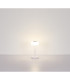 Belinda Integrated LED Table Lamp White Matt Opal Glass Shade LED 4000K-6