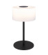 Trenton Cylindrical Table Lamp Matt Black Opal Alabaster Optic Glass Shade LED 2700-4000K-1
